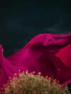 Burgundy One Shoulder Mega Trail Gown
